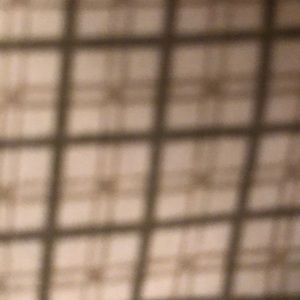 Meet your Posher, Quantina